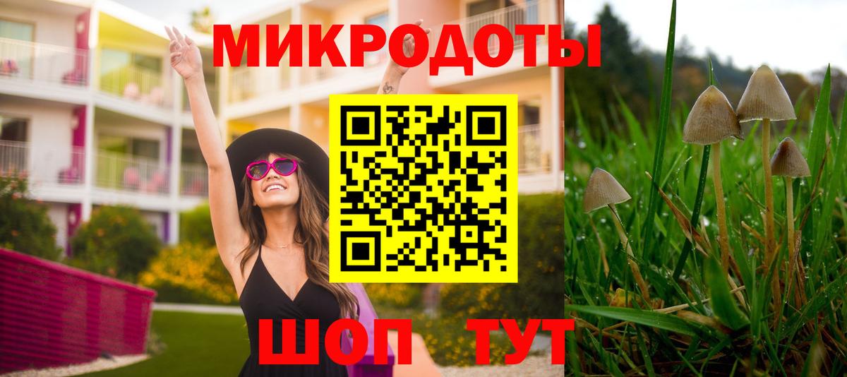 Галлюциногенные грибы ЛСД Магадан